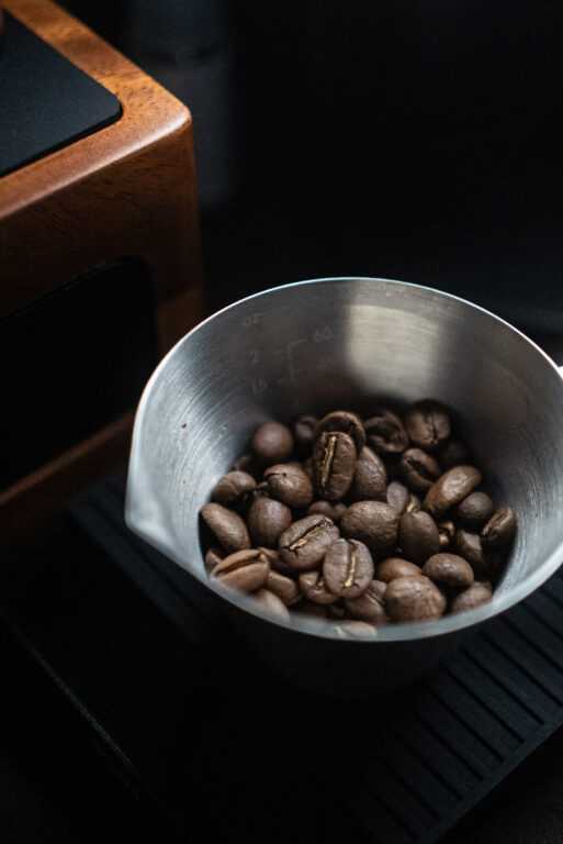 원두 컨디션 체크